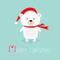 Cute white polar baby bear in santa claus hat and scarf. Candy cane. Merry Christmas Greeting Card. Blue background. Flat design Royalty Free Stock Photo