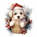 Cute white puppy with a Christmas hat inside decorated Christmas basket Royalty Free Stock Photo