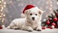 Cute white puppy wearing Santa Claus red hat near the Christmas tree. Generative AI