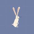 Cute white rabbit with long ears. Adorable bunny hand drawn vector illustration.