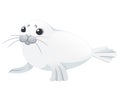 Cute white seal child mammal arctic animal cartoon animal design vector illustration isolated on white background