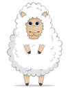 Cute white sheep Royalty Free Stock Photo