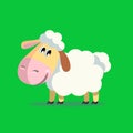 Cute white sheep on a green background.