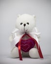 Cute white teddy bear on a gray background with a heart.