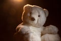 Isolated white Teddy bear on black background. There is a rim light from a simulated evening sun.