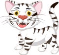 Cute white tiger cub Royalty Free Stock Photo