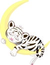 Cute white tiger cub sleeping on the moon Royalty Free Stock Photo