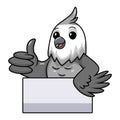 Cute whiteface cockatiel bird cartoon giving thumb up