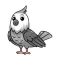 Cute whiteface cockatiel bird cartoon