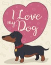 Cute Dachshund with Heart Affectionate with its Master, Vector Illustration