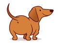 Cute wiener sausage dog  cartoon illustration isolated on white. Simple  drawing of friendly tan dachshund puppy, rear view Royalty Free Stock Photo