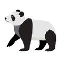 Cute wild animal, black and white panda bear icon Royalty Free Stock Photo