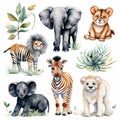 Cute wild animal cartoon style. Watercolor Drawing african baby wild animal on white background. Jungle safari animals and plants Royalty Free Stock Photo