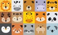 Cute Wild Animal Faces in Square Blocks Vector Illustration