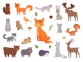 Cute wild animals. Vector forest animals collection fox bear owl vector pictures set