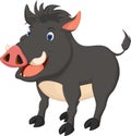 Cute wild boar cartoon