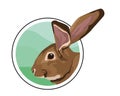 Cute wild rabbit animal head in circular frame Royalty Free Stock Photo