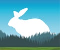 Cute wild rabbit animal silhouette with landscape scene Royalty Free Stock Photo