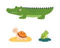 Cute wild safari African animals set. Crocodile, turtle and frog jungle animal cartoon vector illustration Royalty Free Stock Photo