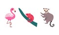 Cute wild safari African animals set. Flamingo, chameleon and lemur jungle animal cartoon vector illustration