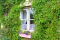 CUTE WINDOW OF A COUNTRYHOUSE