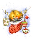 Cute winter bird. Christmas card. New year watercolor llustration.