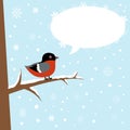 Cute winter bullfinch bird on a branch