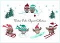 Cute winter owls banner. Baby birds and sport