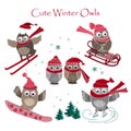 Cute winter owls collection. Vector illustration