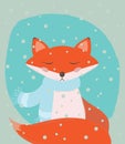 Cute Winter Red Fox