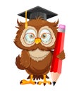 Cute wise owl. Funny owl, back to school concept Royalty Free Stock Photo