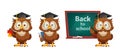 Cute wise owl. Funny owl, back to school concept Royalty Free Stock Photo