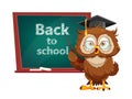 Cute wise owl. Funny owl, back to school concept Royalty Free Stock Photo