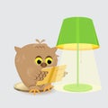 Cute wise owl sitting at the lamp with a lampshade and reading a