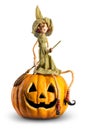 Cute Witch sit on carved Pumpkin Royalty Free Stock Photo