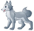 Cute wolf cartoon