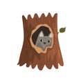 Cute wolf cub sitting in hollow of tree, hollowed out old tree and cute animal cartoon character inside vector