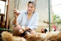 Cute woman farmer collecting fresh organic eggs on chicken farm. Floor cage free chickens is trend of modern poultry farming. Royalty Free Stock Photo