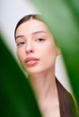 A cute woman`s face with nude makeup peeps through the green leaves