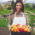 Cute woman standing with basket apples Royalty Free Stock Photo