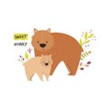 Cute wombat family. Baby cartoon design, composition