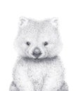 Cute Wombat. Pencil Draw. Wild Australian animal. Nursery Wall Art.