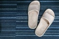 Cute women slippers in office