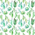 Cute wonderful mexican hawaii tropical floral herbal summer green pattern of a colorful cactus aloe vera vertical pattern paint li
