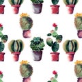 Cute wonderful mexican hawaii tropical green floral summer pattern of a colorful cacti in pots with flowers Royalty Free Stock Photo