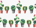 Cute wonderful mexican hawaii tropical green floral summer pattern of a colorful cacti in pots with flowers Royalty Free Stock Photo