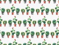 Cute wonderful mexican hawaii tropical green floral summer pattern of a colorful cacti in pots with flowers Royalty Free Stock Photo