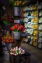 Cute wooden shoes and wooden tulips in souvenir shop, Netherlands Royalty Free Stock Photo