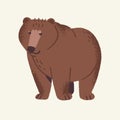 Cute woodland animal, brown bear. Forest fluffy predator, clumsy and plump beast stay and smile. Dangerous fuzzy grizzly