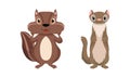 Cute Woodland Animals with Chipmunk and Stoat Vector Set